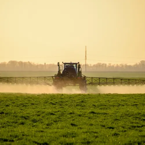 Fertilizer being sprayed on wheat fields