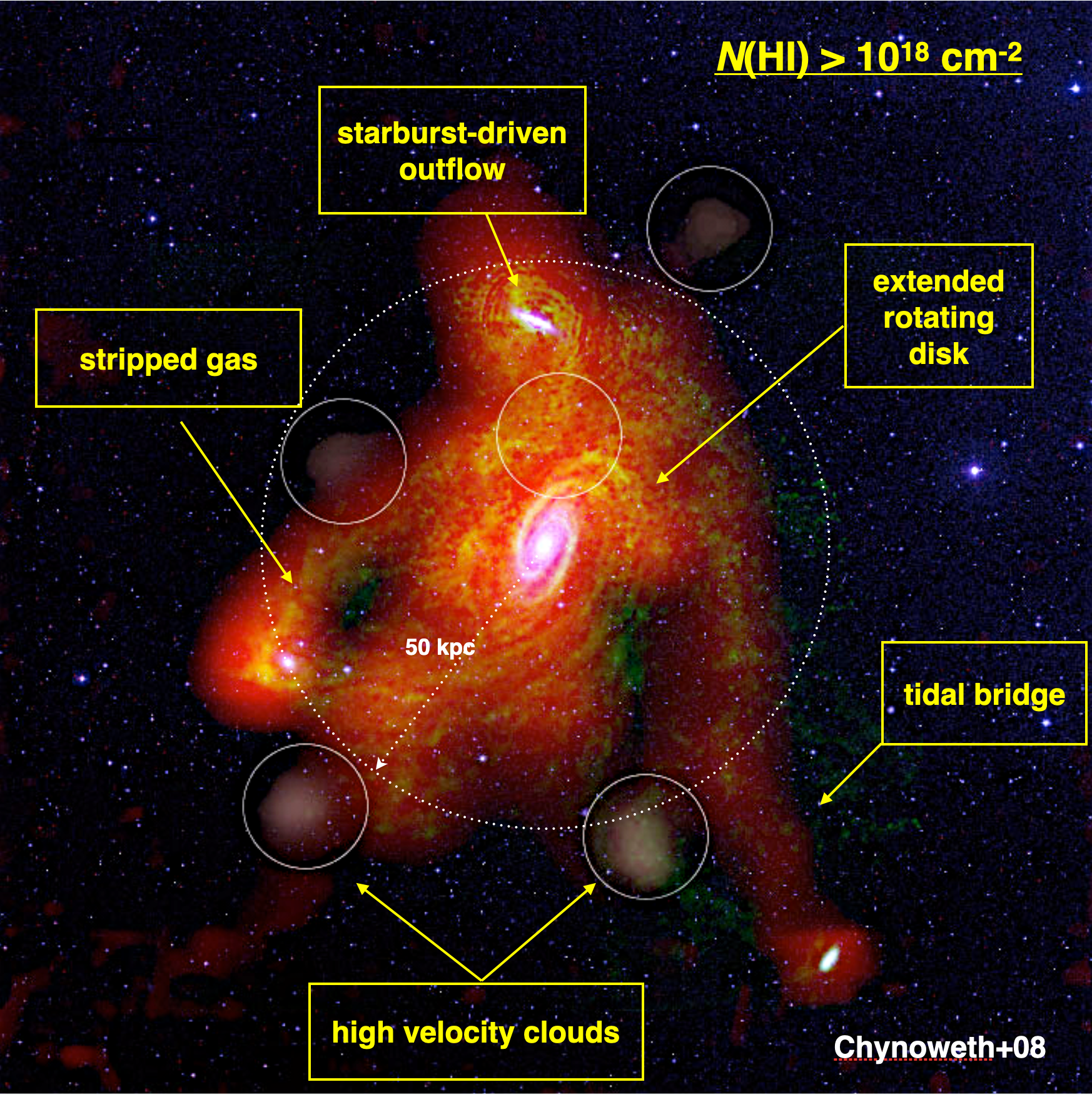 M81 Cicrumgalactic
