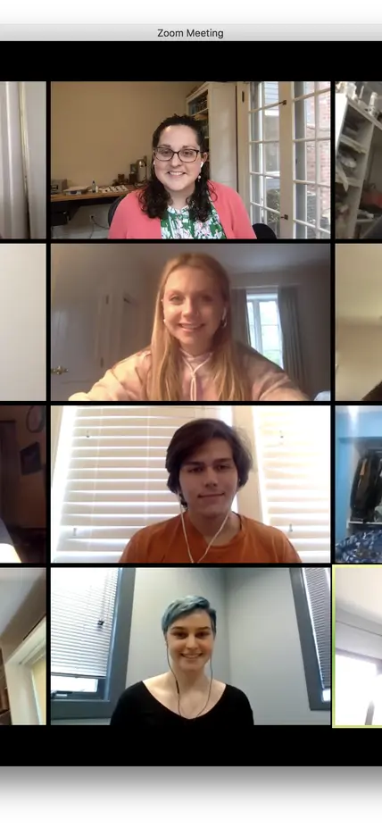 The 2020 CASSI cohort on Zoom