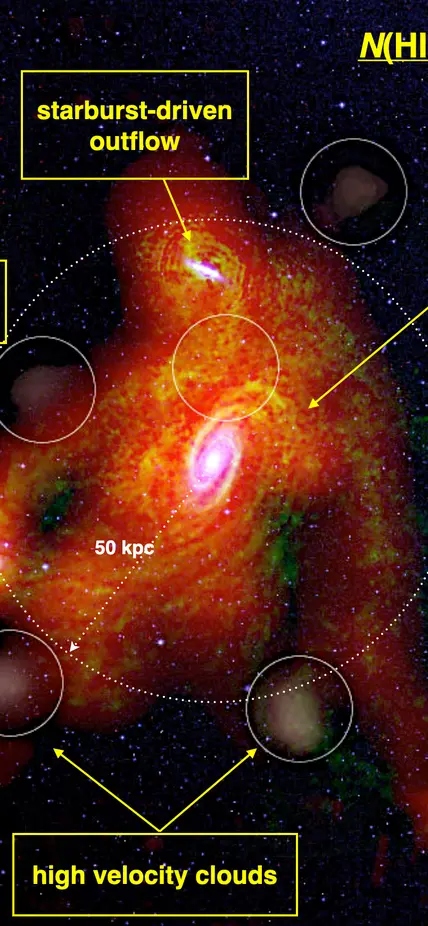  The cold and dense circumgalactic gas around a nearby galaxy Messier 81, showing the diverse origins of the gas.