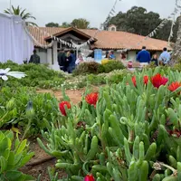 Event at the El Pino business office with flowers and plants in the foreground