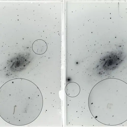 Glass plates showing arrows pointing to asteroids.