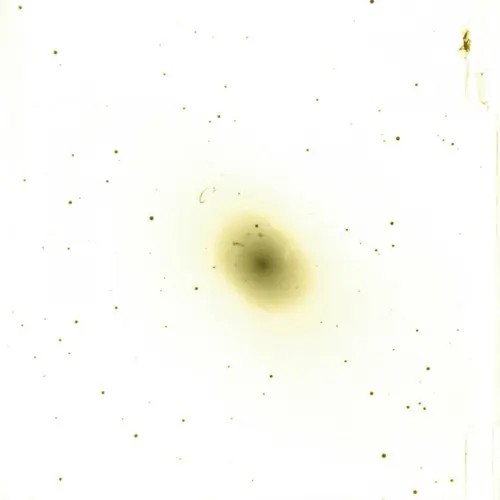 Emulsion side of comparison photographic plate H331H, taken by Edwin Hubble with the Hooker 100-inch telescope of the Mount Wilson Observatory.