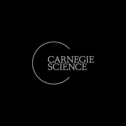 Carnegie Logo on Black